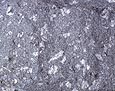 Rock with crystals