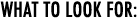 What To Look For: